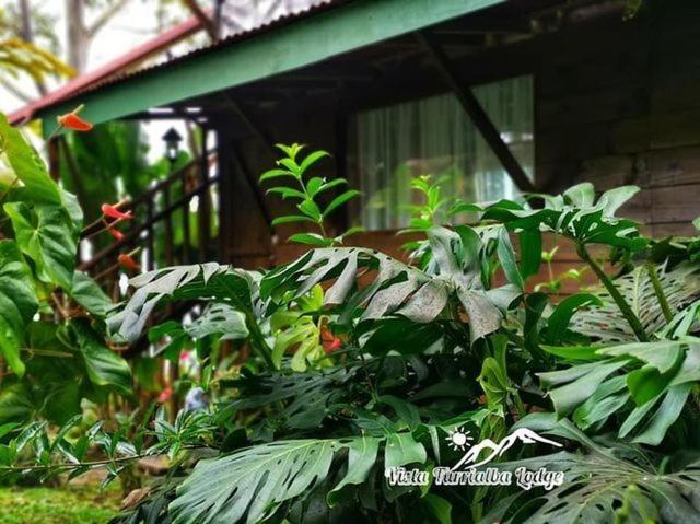 Vista Turrialba Lodge Exterior photo